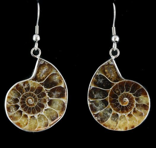 Fossil Ammonite Earrings - Million Years Old #48843